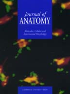 The Journal of Anatomy